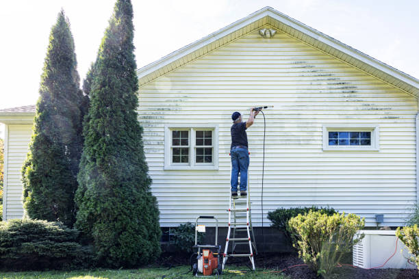 Best Driveway Pressure Washing  in Battle Ground, WA